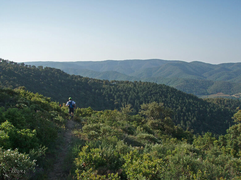 Homme courant dans le Massif des Maures lors d'un séjour à Collobrières