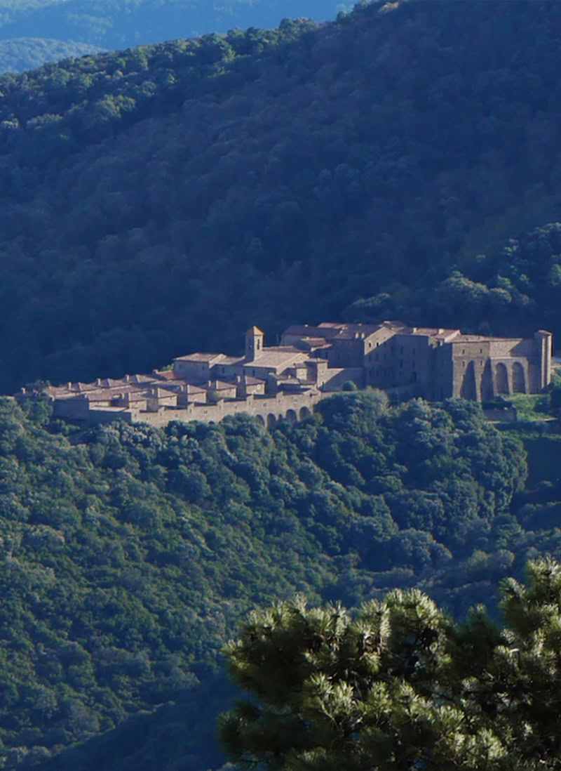 La Chartreuse de la Verne, patrimoine culturel à découvrir lors d'un séjour à Collobrières